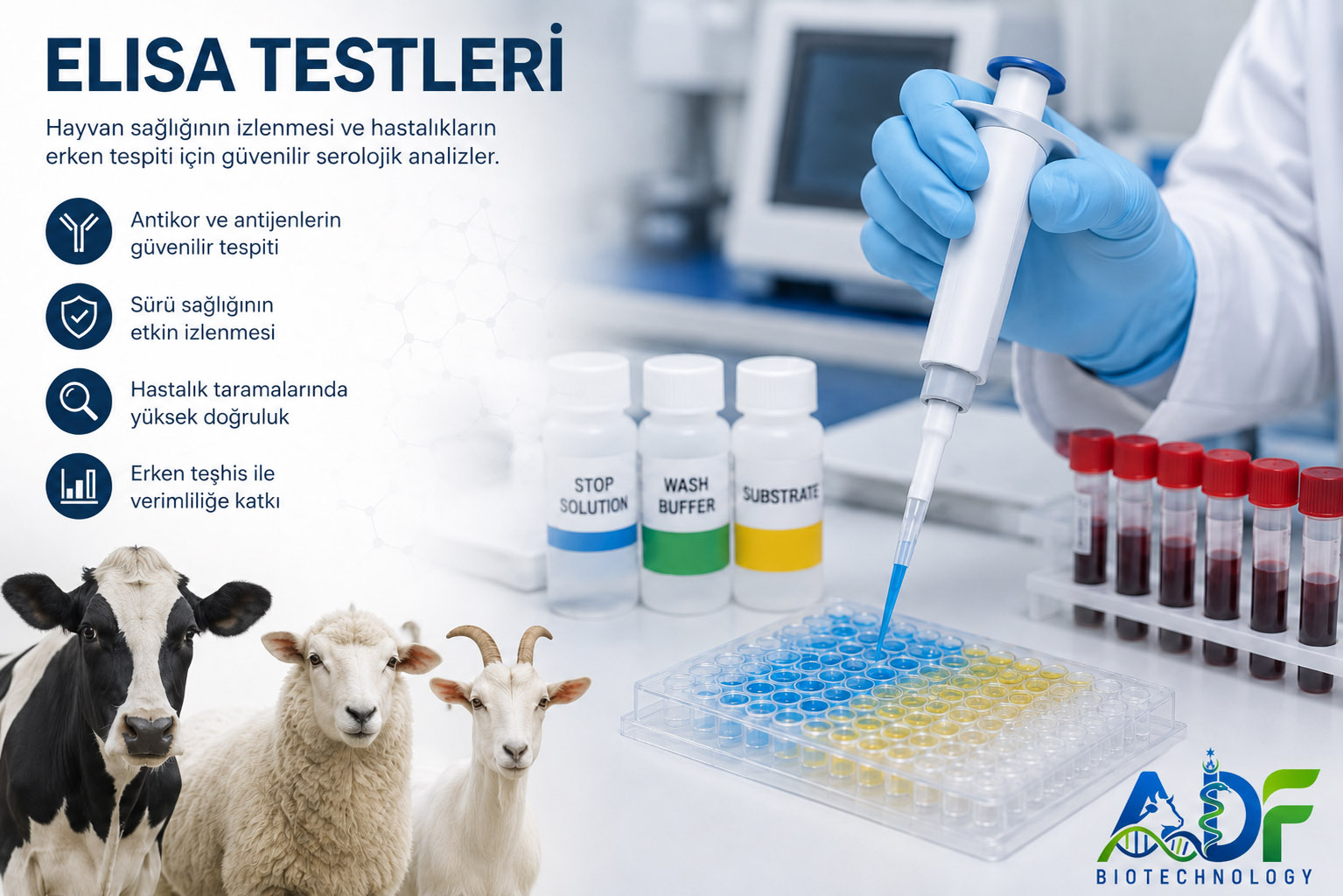 ELISA TESTS